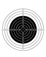 Target Air Rifle-(100 Pcs)